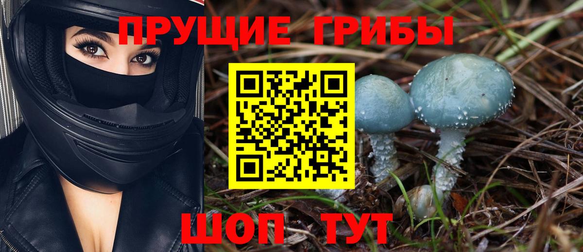 Галлюциногенные грибы мицелий  Вход с VPN  Тула 