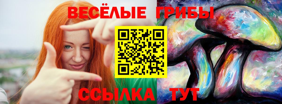 Псилоцибиновые грибы Psilocybe Тула